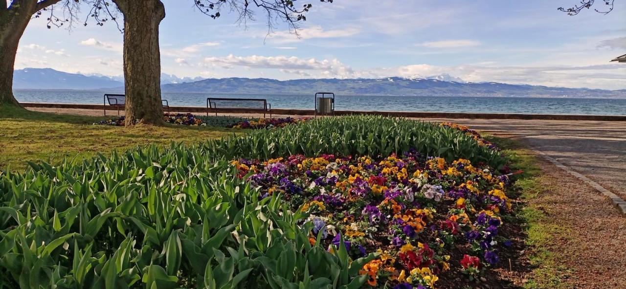 Bodensee Apartments Kressbronn "Haus Am Seepark" Kressbronn am Bodensee Eksteriør billede